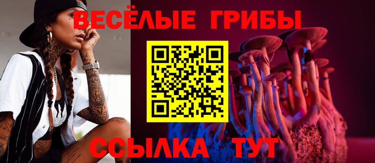 Псилоцибиновые грибы Psilocybe  Вход с VPN  Волжск 